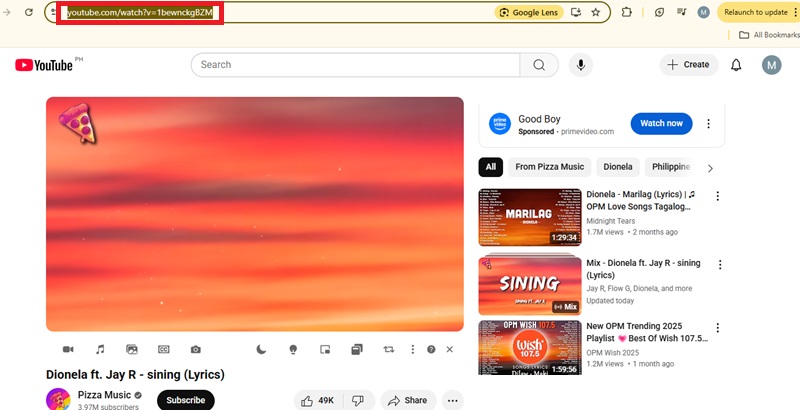 copy the youtube video link